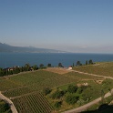 Lac et vignes depuis Lavaux - 050